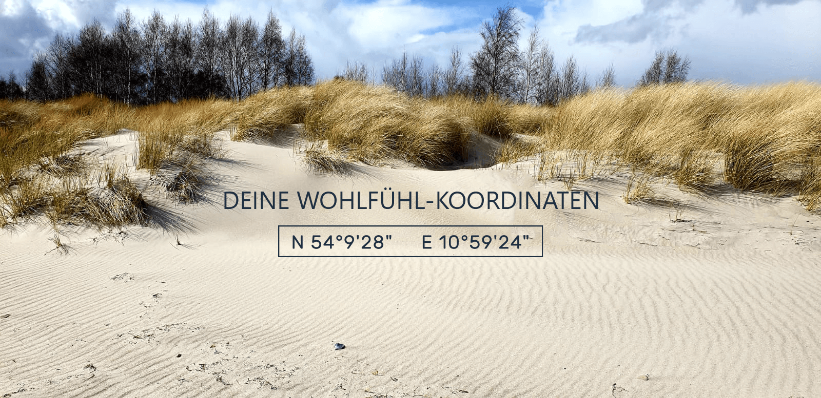 Wohnmobilpark "Achtern Diek" — photo 3
